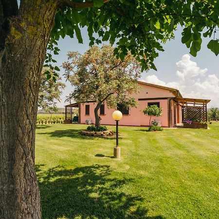 Agriturismo Il Laghetto Grosseto Bagian luar foto
