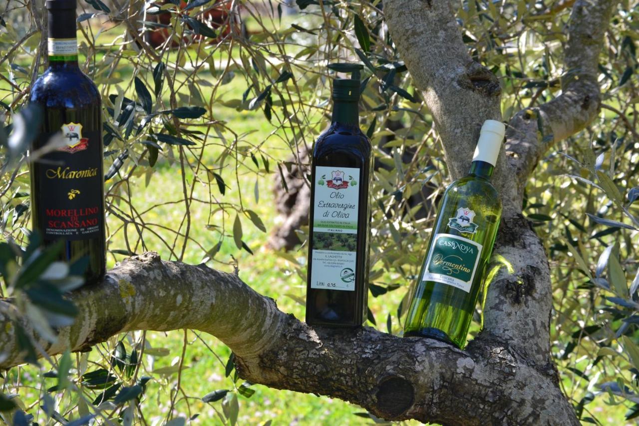 Agriturismo Il Laghetto Grosseto Bagian luar foto