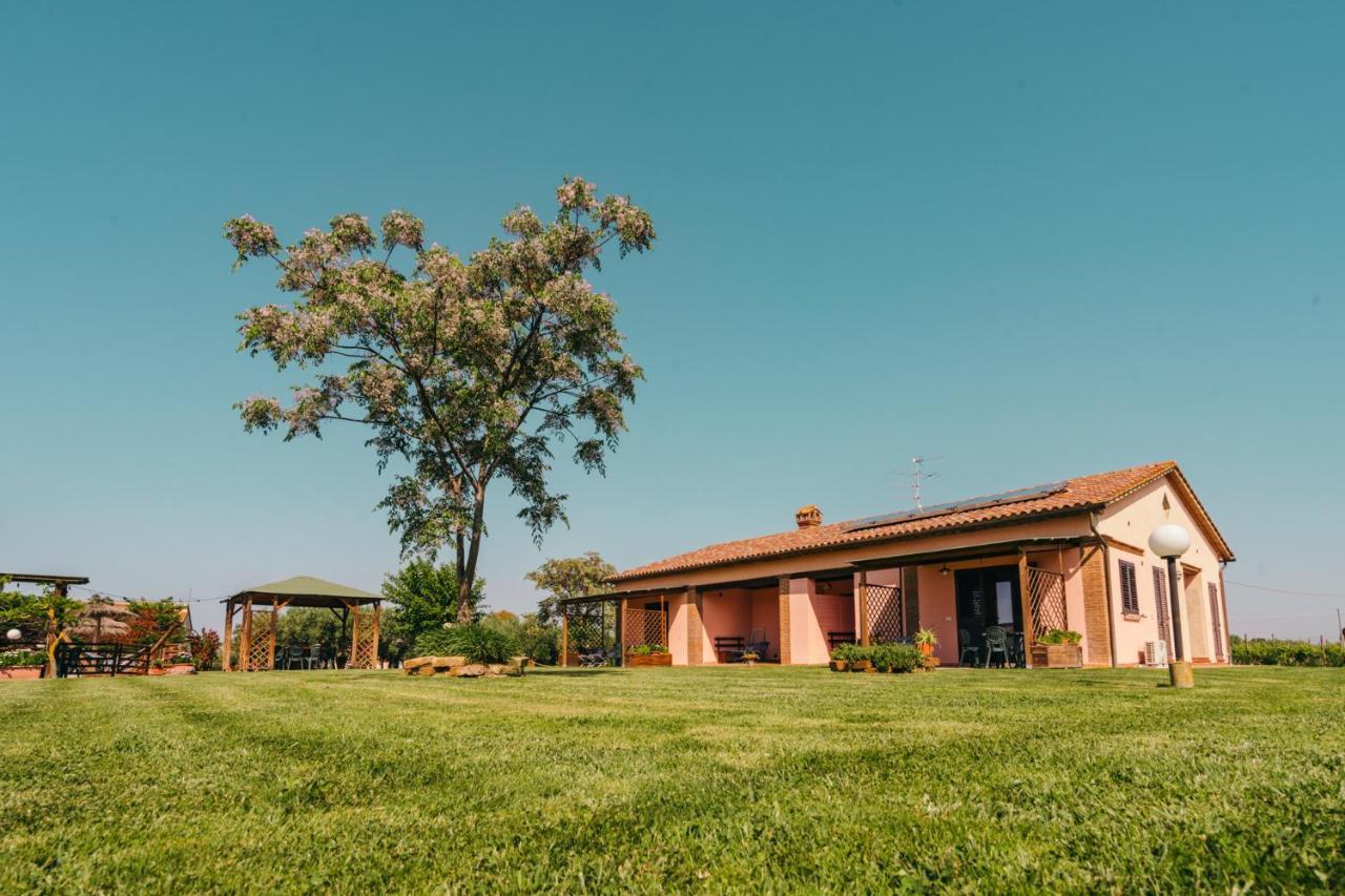 Agriturismo Il Laghetto Grosseto Bagian luar foto