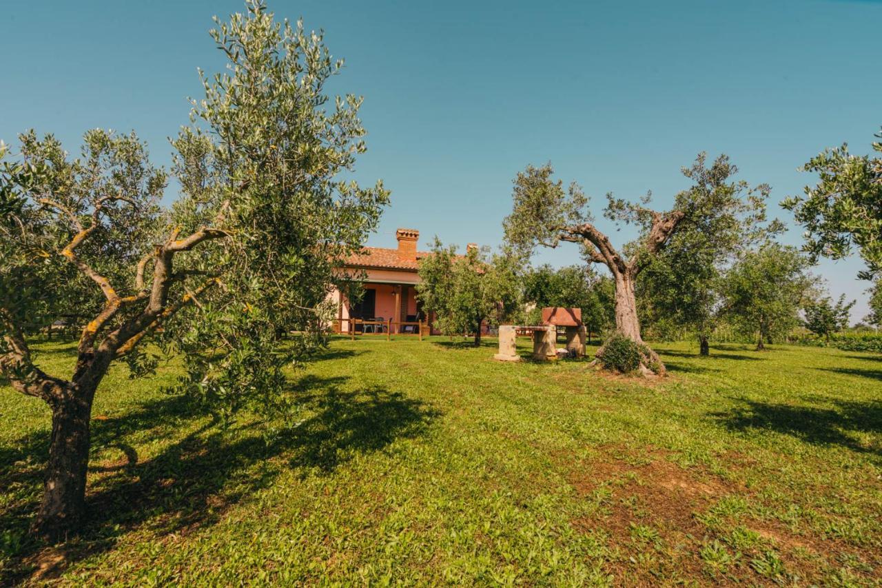 Agriturismo Il Laghetto Grosseto Bagian luar foto