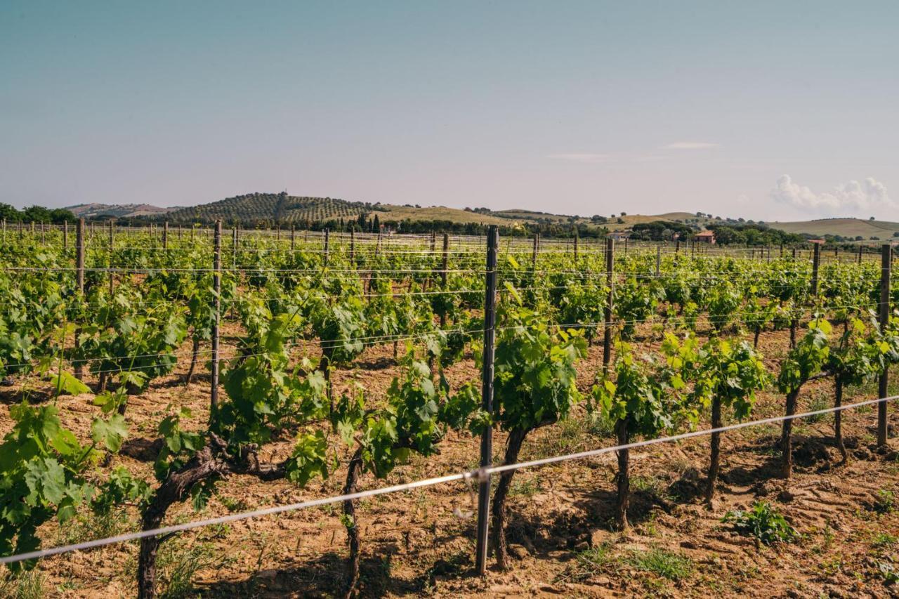 Agriturismo Il Laghetto Grosseto Bagian luar foto